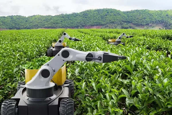 How Rural India is Becoming a Hub for AI Training and Cloud Farming