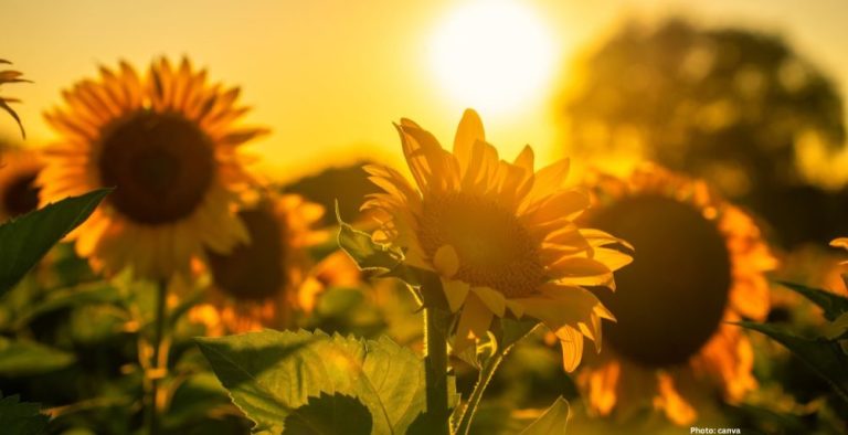 Feature and Cover 24 February 2026 Laughter in the Dark