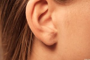 Feature and Cover A Hidden Reason Inner Ear Cells Die – And What It Means for Preventing Hearing Loss