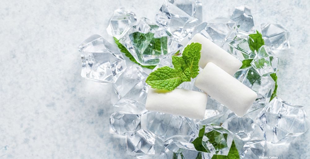 Feature and Cover Scientists Show How Your Body Senses Cold—And Why Menthol Feels Cool