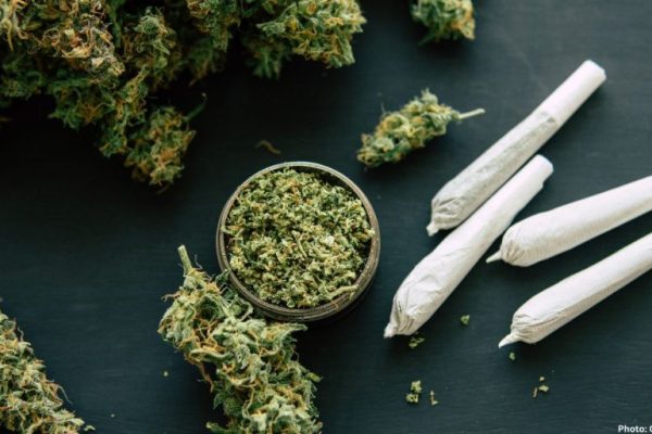 Feature and Cover Why Today’s Cannabis Is Dangerous for Developing Brains