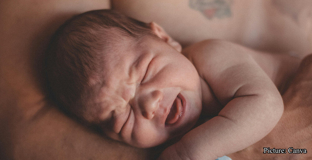 GNN A Biologist Explains Why Human Babies Are Born So Helpless Evolution's Strategic Tradeoff