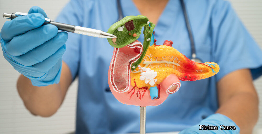 GNN AI Impact Summit 2026 Begins on February 16; Modi to Inaugurate an India AI Expo (1)