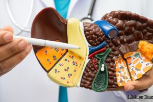 GNN New Blood Test Score Detects Hidden Alcohol Related Liver Disease