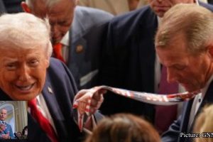 GNN SAVE Act stalls in Senate despite Trump demands