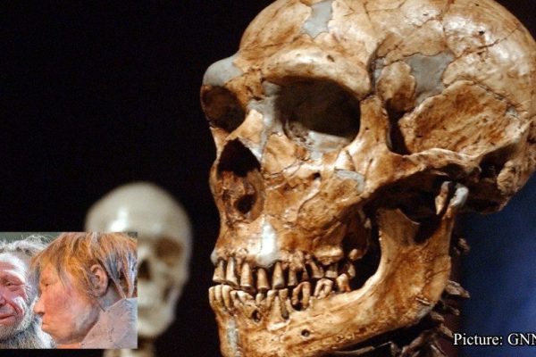 GNN ‘Genetic Analysis Reveals New Details on Ancient Human and Neanderthal Couplings ABC News