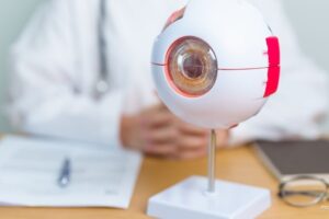 When Standing Meets Vision Posture Driven Retinal Signals Predict Diabetic Retinopathy Progression