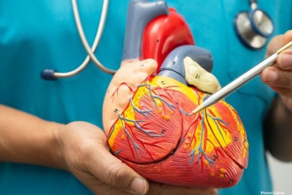 Feature and Cover JAMA MASALA Study Suggests Earlier Cardiovascular Vigilance Needed for People With South Asian AncestryJAMA