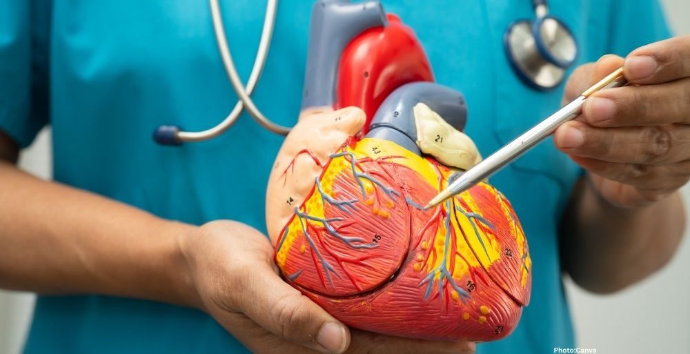 Feature and Cover JAMA MASALA Study Suggests Earlier Cardiovascular Vigilance Needed for People With South Asian AncestryJAMA