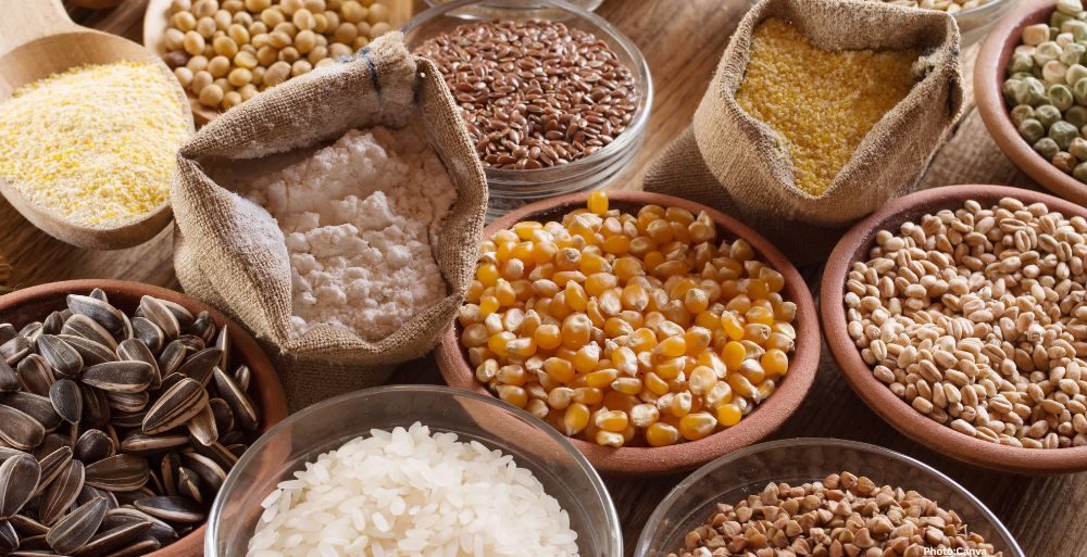 Feature and Cover The Cereal Renaissance Merging Ancient Ayurvedic Wisdom With Modern Breakfast Markets