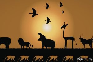 GNN A groundbreaking international study has uncovered a universal law of biology that dictates how every living organism—from microscopic bacteria to the largest mammals—responds to temperatur (1)