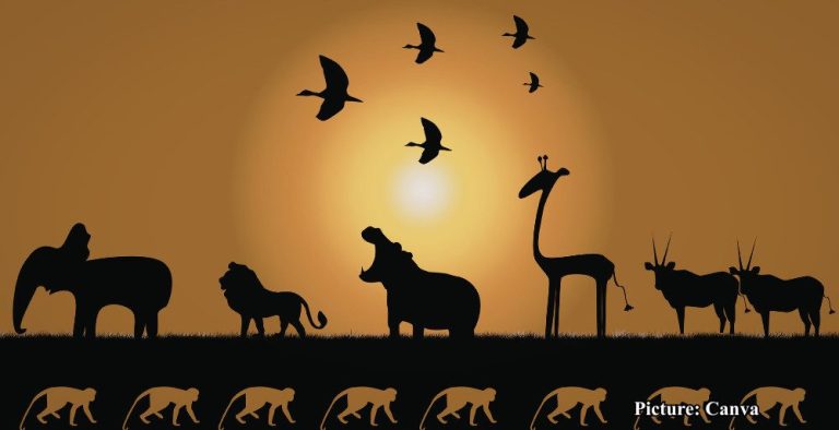 GNN A groundbreaking international study has uncovered a universal law of biology that dictates how every living organism—from microscopic bacteria to the largest mammals—responds to temperatur (1)