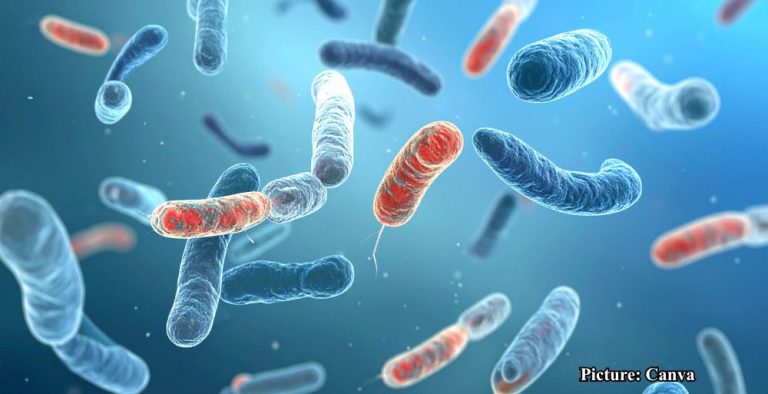 GNN A groundbreaking international study has uncovered a universal law of biology that dictates how every living organism—from microscopic bacteria to the largest mammals—responds to temperatur