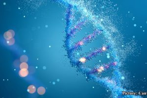 GNN Advancements in Sedimentary DNA Analysis Transform Understanding of Human Origins