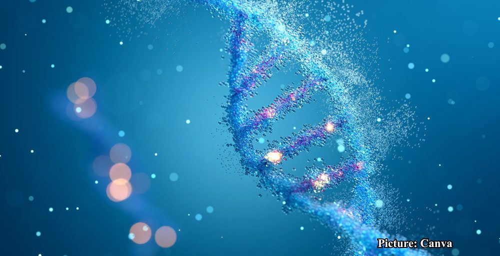 GNN Advancements in Sedimentary DNA Analysis Transform Understanding of Human Origins