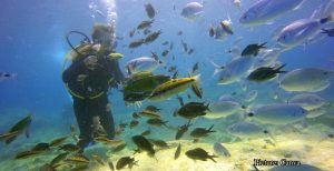 GNN Deep Sea Discovery in Morocco Challenges Long Held Beliefs on Ancient Life