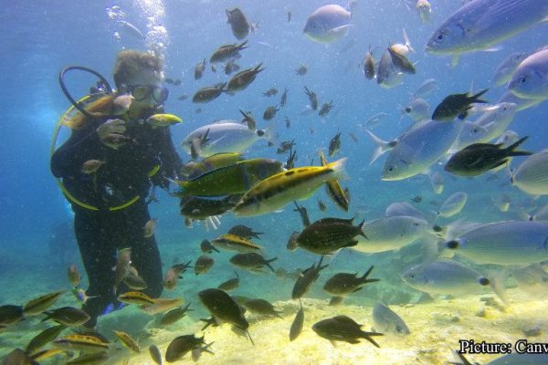 GNN Deep Sea Discovery in Morocco Challenges Long Held Beliefs on Ancient Life