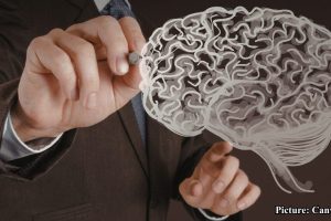 GNN Harvard Neuroscience Professor Shares Insights on Effective Learning Retention