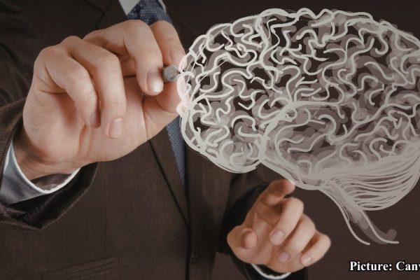 GNN Harvard Neuroscience Professor Shares Insights on Effective Learning Retention