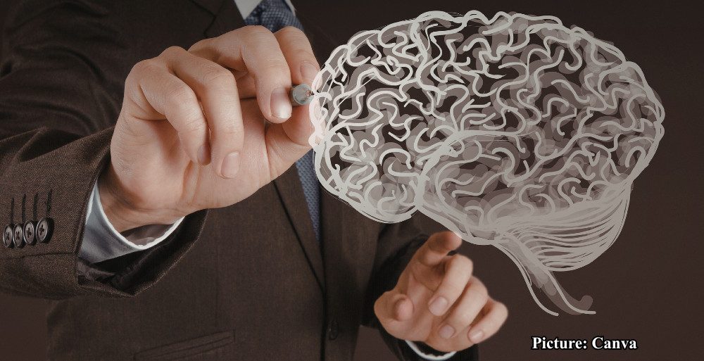 GNN Harvard Neuroscience Professor Shares Insights on Effective Learning Retention