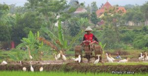 GNN Indigenous Farming Practices Offer Solutions Amidst Climate Change Challenges