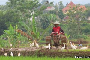 GNN Indigenous Farming Practices Offer Solutions Amidst Climate Change Challenges