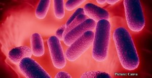 GNN Research Uncovers Mechanism Used by Tuberculosis Bacteria to Evade Immune Response