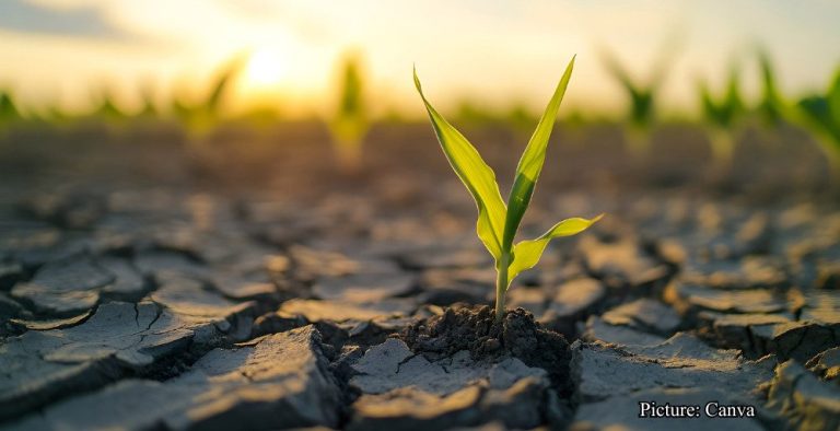 GNN Study Links Rising Temperatures to Increased Physical Inactivity and Health Risks (2)