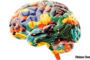 GNN The Pulse of Memory Direct Neural Evidence Links Exercise to Enhanced 'Brain Ripples'