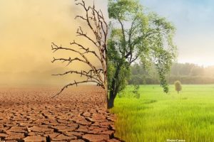 Photo New Study Finds US Responsible for $10 Trillion in Climate Damages Since 1990
