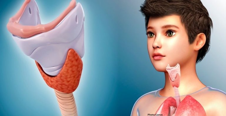 Photo Study Links Thymus Health to Longevity and Disease Risk