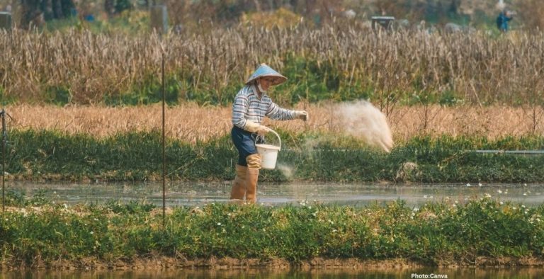 Photo Surge in Fertilizer Prices Linked to Ongoing Conflict in Iran Raises Food Security Concerns