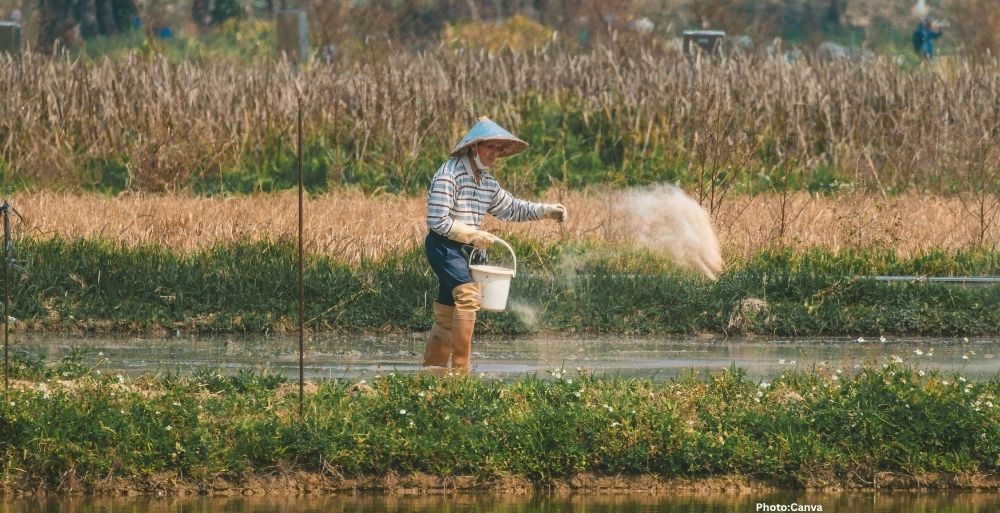 Photo Surge in Fertilizer Prices Linked to Ongoing Conflict in Iran Raises Food Security Concerns