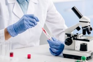 Photo Weizmann Institute Study Suggests Genetics Account for 50% of Human Lifespan