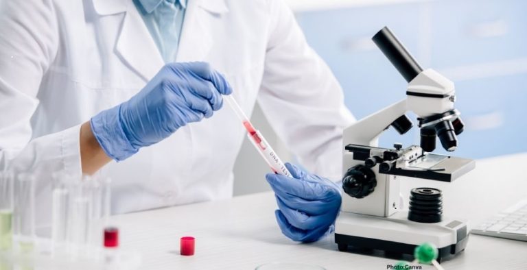 Photo Weizmann Institute Study Suggests Genetics Account for 50% of Human Lifespan